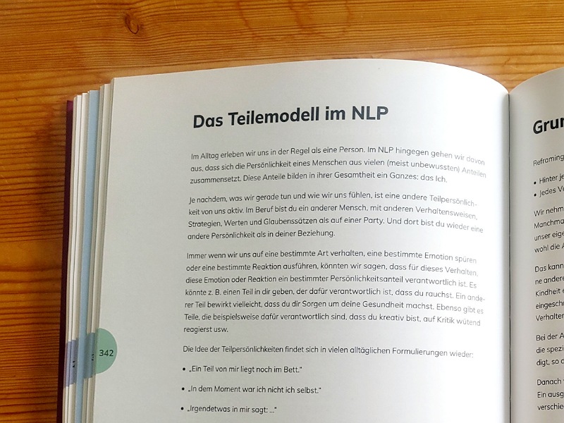 NLP-Lehrbuch, Abschnitt zum Teilemodell im NLP 