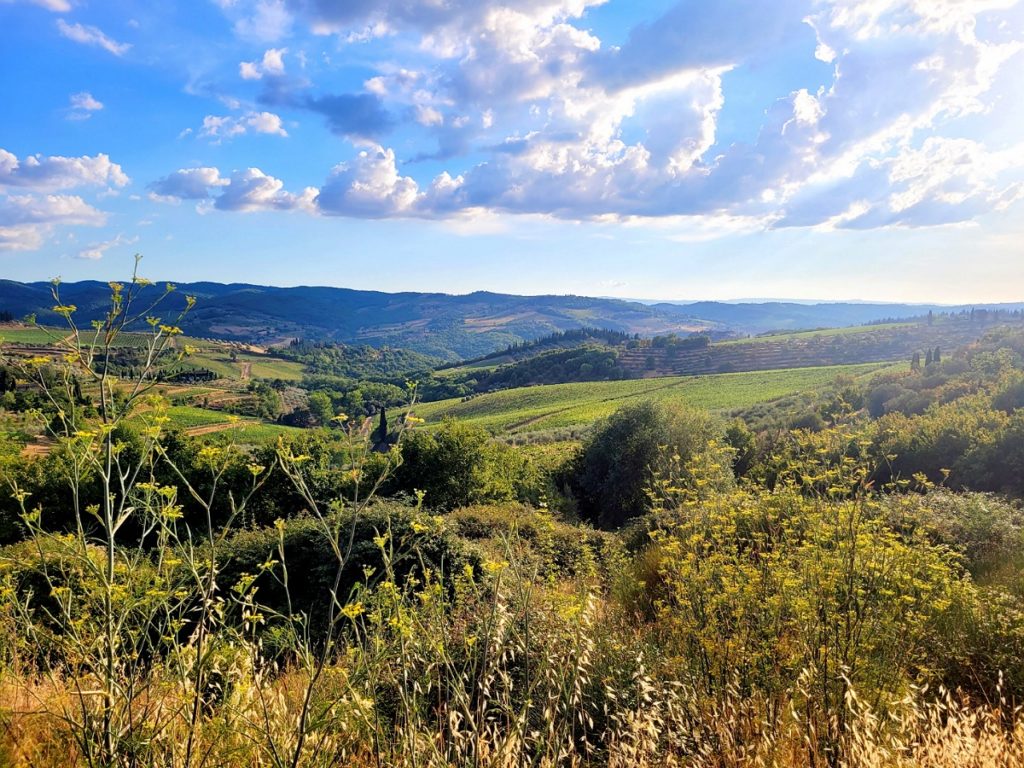 Weitblick: Landschaft in der Toscana